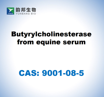 CAS 9001-08-5 Butirilcolinesterase do soro equino