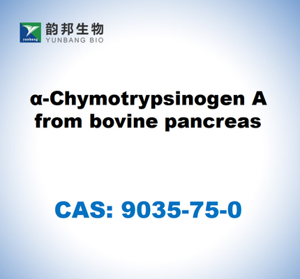 CAS 9035-75-0 α-Quimotripsinogénio A do pâncreas bovino