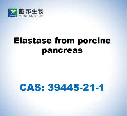 CAS 39445-21-1 Elastase do pâncreas de suínos