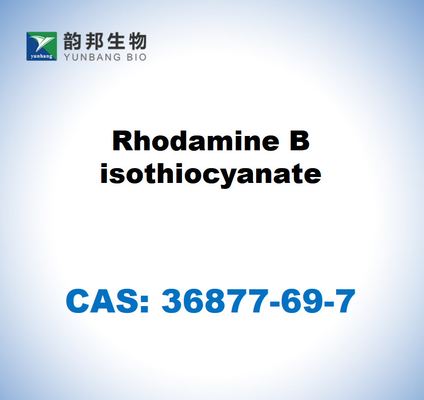 CAS 36877-69-7 Reagente de laboratório de isotiocianato de rodamina B