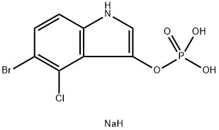 CAS 102185-33-1 5-bromo-4-cloro-3-indolil fosfato sal dinódico,X-fosfato sal dinódico